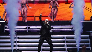 Pitbull koncerto Dariaus ir Girėno stadione Kaune akimirka