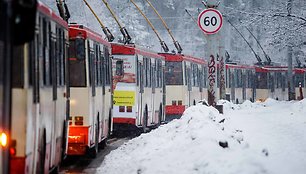 Narbuto gatvėje vėl strigo troleibusų eismas 