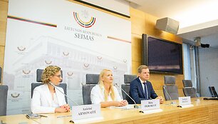 Au&scaron;rinės Armonaitės spaudos konferencija &bdquo;Laisvės partijos dalyvavimas 2019 m. Seimo rinkimuose&ldquo;