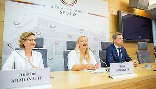 Au&scaron;rinės Armonaitės spaudos konferencija &bdquo;Laisvės partijos dalyvavimas 2019 m. Seimo rinkimuose&ldquo;