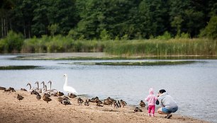 Pilaitės Salotės paplūdimys