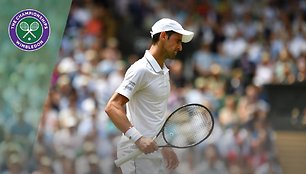 novak-djokovic-vs-david-goffin-wimbledon-2019-quarter-final-highlights