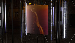 &bdquo;Lewben Art Foundation&ldquo; paroda &bdquo;Homo Absentia&ldquo; Vilniaus skveruose