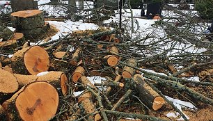 Seirijų miestelio kapinėse iškirsti medžiai  