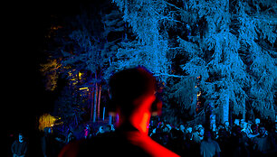 Festivalio &bdquo;Sūpynės&ldquo; akimirka