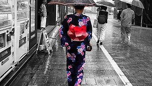 Japonijos vaizdai