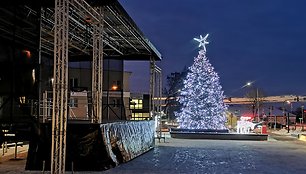 Raseinių kalėdinės eglės įžiebimo akimirka