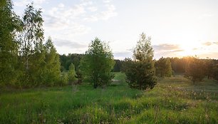 „Bajorų parko“ gyventojai: „Tai išties labai patogus kvartalas“