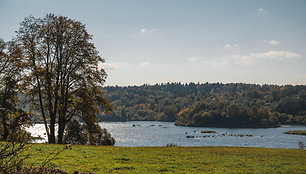 Sumušk savo žingsnių rekordus Miško take