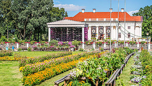 Vaizdai atima žadą: didžiausias gėlių festivalis Baltijos šalyse pasiekė žydėjimo piką 