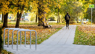 Rinktinės g.