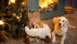 Tvaresnės Kalėdos su „Iki“: pernai didelio pirkėjų dėmesio sulaukę Kalėdų maišeliai grįžta į „Iki“ parduotuves