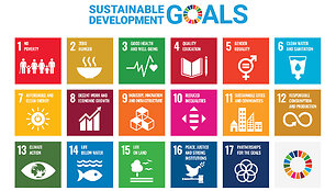 E SDG Poster 
