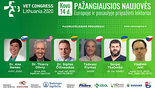 KG Vet Congress 2020