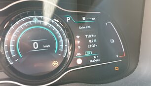 Vitoldas Milius elektromobiliu nuvažiavo 710 km 