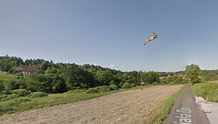 &bdquo;Google street view&ldquo; užfiksuotas ki&scaron;kis