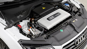 &bdquo;Audi&ldquo;