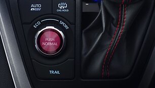 Įkraunamas hibridinis &bdquo;Toyota RAV4&ldquo; 