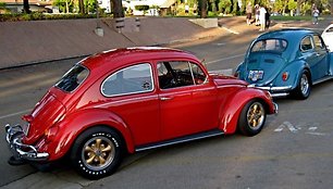 „Volkswagen Beetle“ 