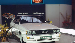 „Audi Quattro“