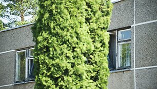 Alytaus r., Verebiejų kaime, apleistoje mokykloje apgyvendinti migrantai