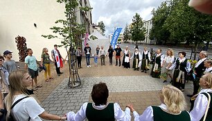 Žygis &bdquo;Už &scaron;varią Lietuvą!&ldquo;