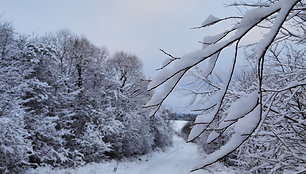 Obuolių pyragui Sandrą įkvėpė tikra lietuviška žiema