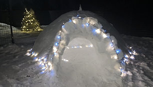 Iglu Žaliakalnyje