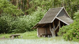 Rožių krūmo poilsiavietė