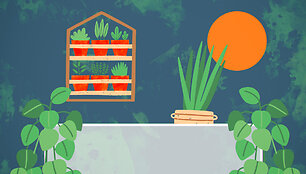 Sodas_Balkone_Screen_03