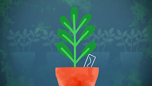 Sodas_Balkone_Screen_03_d