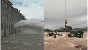 collage1
