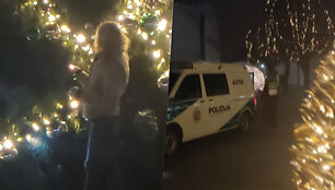 policija, eglute