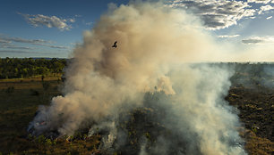 Matthew Abbotto nuotraukai „National Geographic“ skirtas metų istorijos titulas