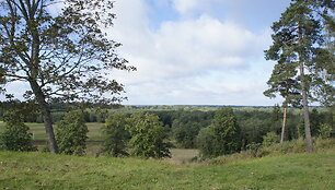 _DSC0908
