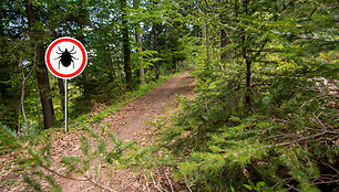 ticks-sign-in-the-wild-green-forest-609e45fca33f1