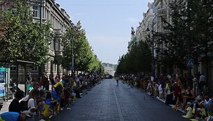 ukrainos-nepriklausomybes-diena-pamineta-viln-iuje-priklaupus-ant-kelio-gedimino-prospekte