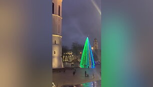 vilniaus-kaledu-egles-bandomasis-iziebimas