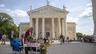 Žolinė Vilniaus Katedros aikštėje