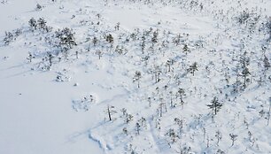 Varnikų pažintinis takas
