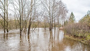 Patvinusi Lėvens upė Panevėžio rajone