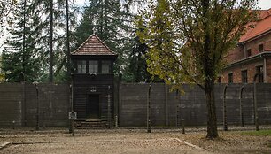Au&scaron;vico koncentracijos stovyklos muziejus