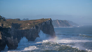 Bufones de pria, Ispanija