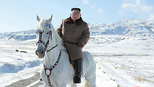 Kim Jong Unas