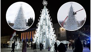 Buvusi Panevėžio Kalėdų eglė šiais metais sušvito Daugpilyje