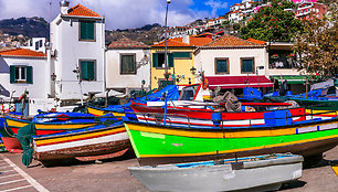 Camara de Lobos, Madeira