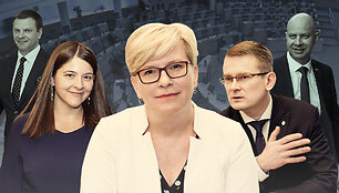 &Scaron;apoka, Skaistė, &Scaron;imonytė, Dulkys, Veryga