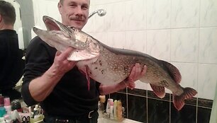 Lydeka 10,5 Kg