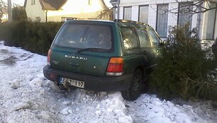 Nuotraukos pavadinimas