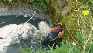 Nuotraukos pavadinimas